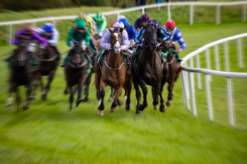 Horse racing action motion blur zoom effect on the turn of the race track