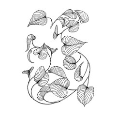 branch of liana Isolated on a white background.Hand drawn.
