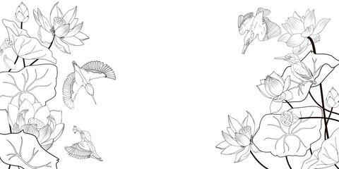 Lotus flowers and kingfishers, coloring, a black and white vector illustration