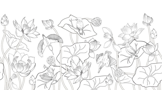 Lotus flowers and kingfishers, coloring, a black and white vector illustration