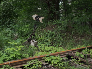 An old railway line with an arrow, overgrown with grass and trees in the forest.