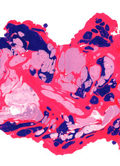 Beautiful abstract liquid paint background. Acrylic painting. Marble texture. Mixed cold red, lilac pink, navy blue paints on wet paper. Contemporary design. Modern art technique. Elegant colours