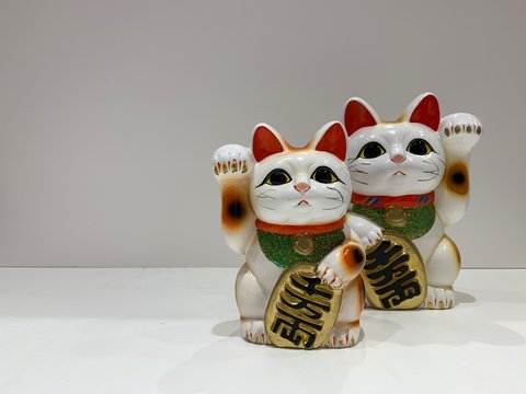 Japanese lucky Cat for bring the costumers and money 