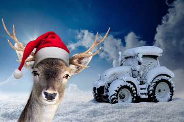 Rentier mit Nikolausmütze vor einem zugeschneiten Traktor