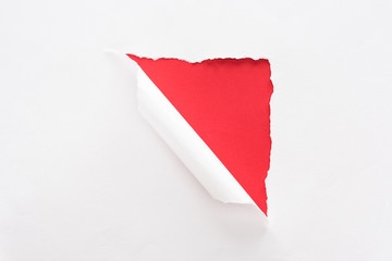 white torn and rolled paper on colorful red background