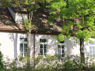 Orange and white walled houses and trees
