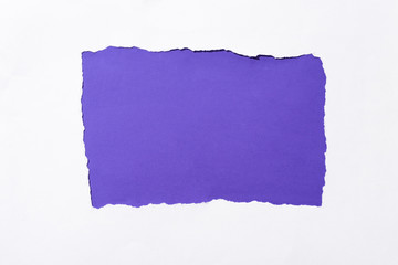 purple colorful background in white torn paper hole