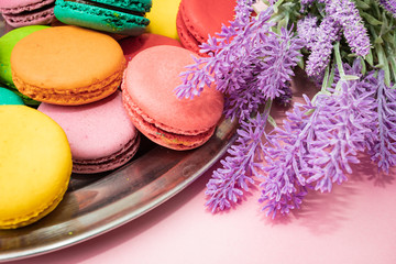 french macaron cakes composition with lavender flowers