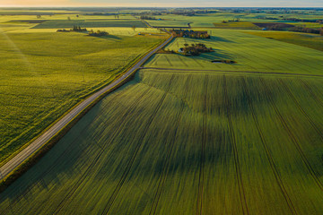 Aerial: Beautiful rolling landscape of Lithuania - obrazy, fototapety, plakaty