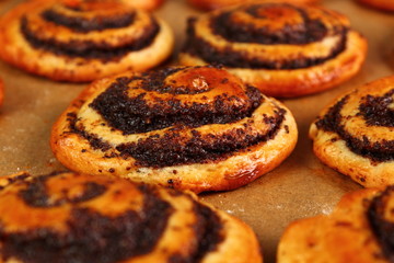 Freshly Baked. Making Poppy Seed Snail. Sweet Roll Bun.