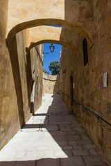 Obraz premium the fort of Mdina in Malta 