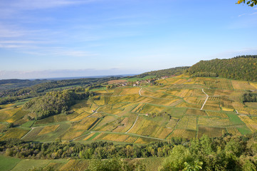 Vineyards near Chateau Chalon, Departement Jura, Franche-Comte, France