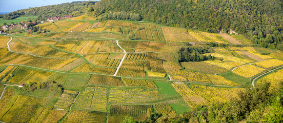 Panoramic view of the vineyards near Chateau Chalon, Departement Jura, Franche-Comte, France