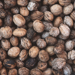 Background pattern of imperfect inshell walnuts.