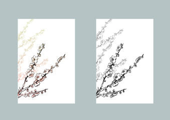 梅の花線画