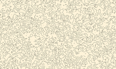 Topographic map background concept with space for your copy. Topography lines art contour , mountain hiking trail , Shape vector design. Computer generated .