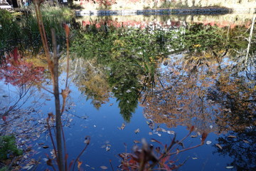 軽井沢の雲場池に映る紅葉