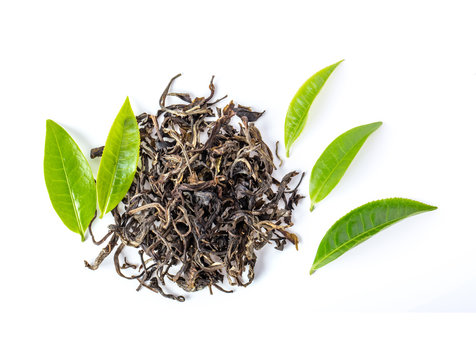 fresh and dry tea isolated on white background. top view