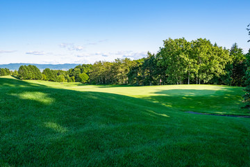 Obraz premium Golf Course with beautiful green field. Golf course with a rich green turf beautiful scenery. 