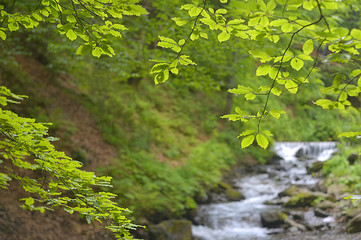 Beautiful mountain landscape in Ukraine