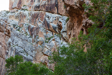 Hog Canyon trail in Dinosaur National Monument affords an up-close-and-personal view of the craggy Weber Sandstone that make up the canyon's walls