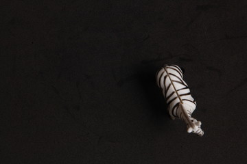 plastic toy with zebra shape in color background
