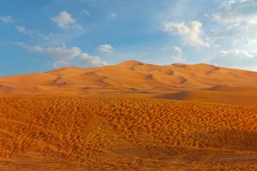 Fototapeta na wymiar Sand desert dunes picturesque landscape view with blue sky.