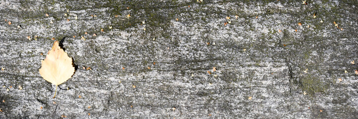 Natural stone