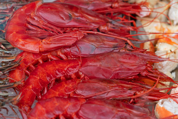 Red boied shrimps sea food on the market