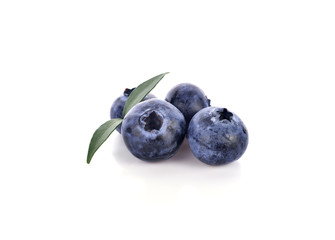 blueberries isolated