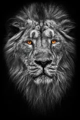 Türaufkleber Löwe Kontrastieren Sie das Schwarz-Weiß-Foto eines Mähnen- (Haar-) mächtigen männlichen Löwen in der Dunkelheit der Nacht mit hell leuchtenden orangefarbenen Augen, isoliert auf schwarzem Hintergrund