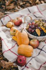 Autumn picnic with pumpkins, grapes and apples in a forest