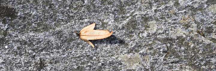 Natural stone