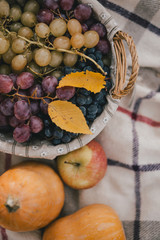 Autumn picnic with pumpkins, grapes and apples in a forest
