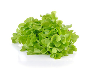 Fresh green lettuce leafs isolated on white background