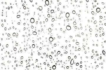 Water rain drops or water drops on white background