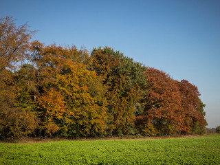 Herbststimmung Krefeld