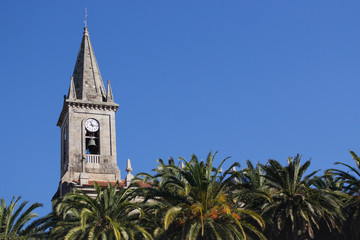Church tower with bell and clock with palm trees foreground. Catholic cathedral facade against clear blue sky. Cathedral in Spain. Religious architecture concept. Travel concept. 