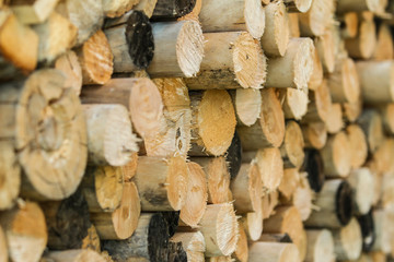 Beautiful view of home yard garage wall with stacked firewood for winter months. 