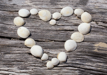 Heart Made Of Seashells On Driftwood