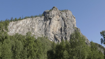 Mountain landscape with a rock and green forest