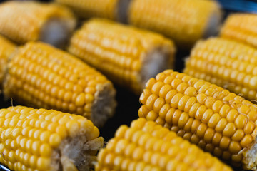 Sweetcorn on the cob on the BBQ 