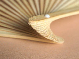 Japanese foldable hand fan