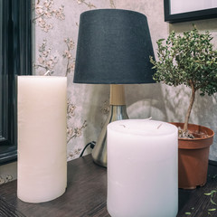 the candle lamp and the plant in a retro interior