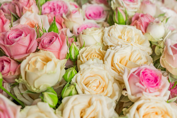 Bouquet of flowers - a composition of pink and white roses. Background for the postcard.