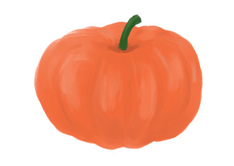 かぼちゃ　カボチャ　野菜