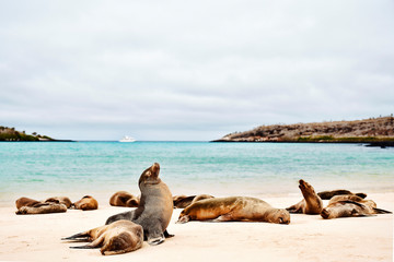 Galapagos, Ecuador