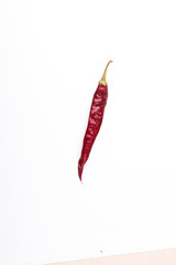 red chili pepper isolated on white background