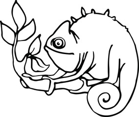 chameleon with crest and thorns on back sits on branch with leaves vector illustration with black contour lines isolated on white background in hand drawn style
