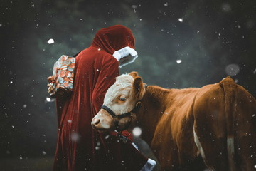 Weihnachtsmann und Ochse im Schnee